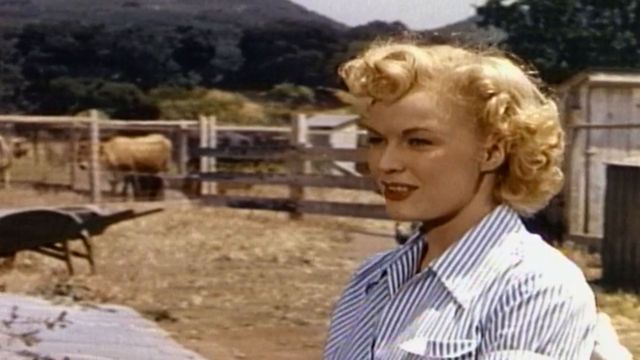20th Century Fox: The First 50 Years Backdrop