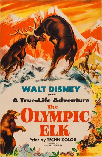  The Olympic Elk Poster