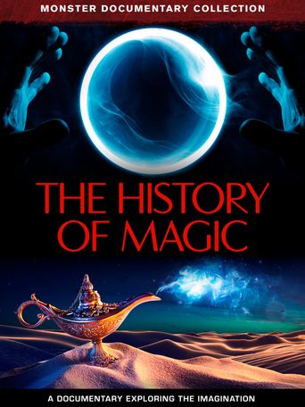 The History of Magic Poster