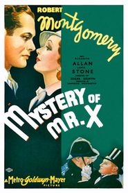  The Mystery of Mr. X Poster