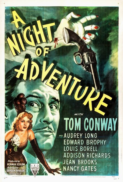 A Night of Adventure Poster