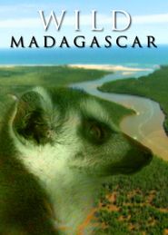  Wild Madagascar Poster