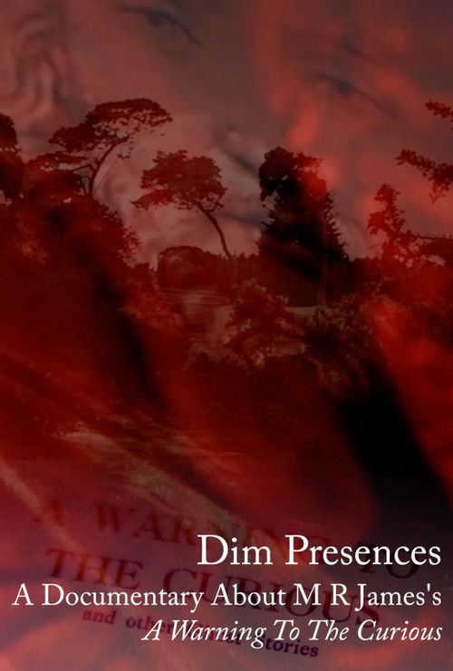 Dim Presences Poster