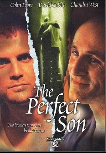  A Perfect Son Poster
