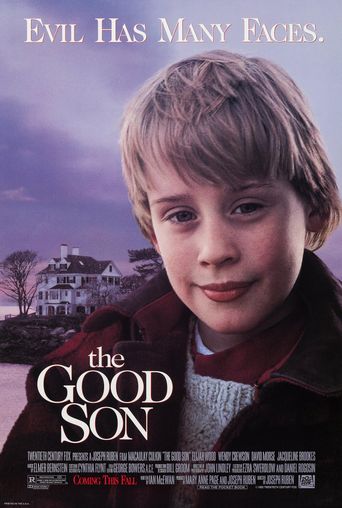  The Good Son Poster
