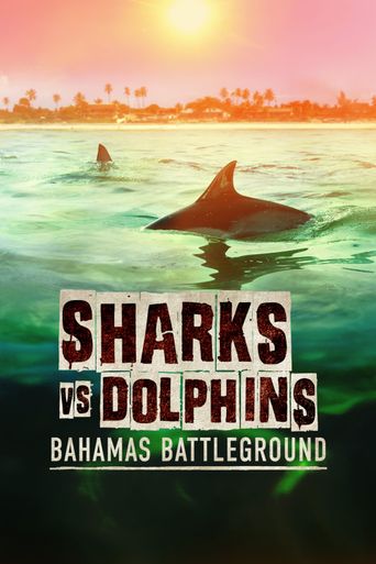 Sharks vs Dolphins: Bahamas Battleground Poster