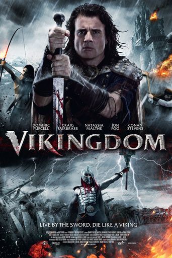  Vikingdom Poster