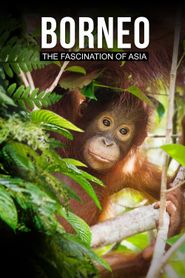  Borneo: The Fascination of Asia Poster