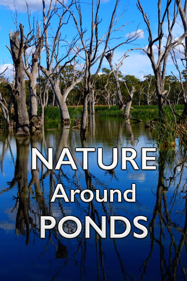 Nature Around Ponds