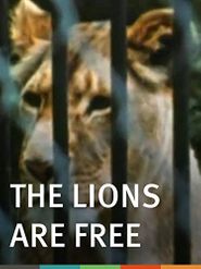  The Lions Are Free Poster