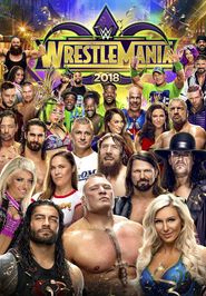  WWE Wrestlemania 34 Kickoff Poster