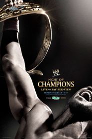  WWE Night of Champions 2013 Poster