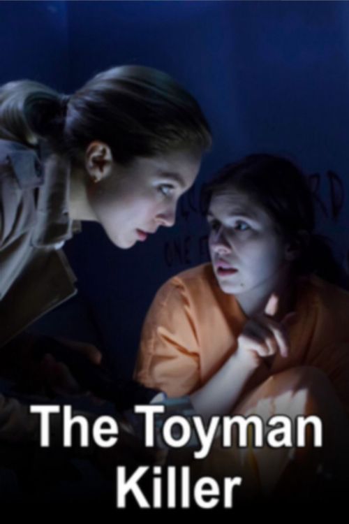The Toyman Killer Poster