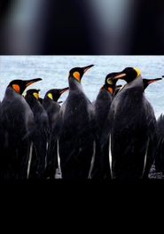  Mondo Penguin Poster