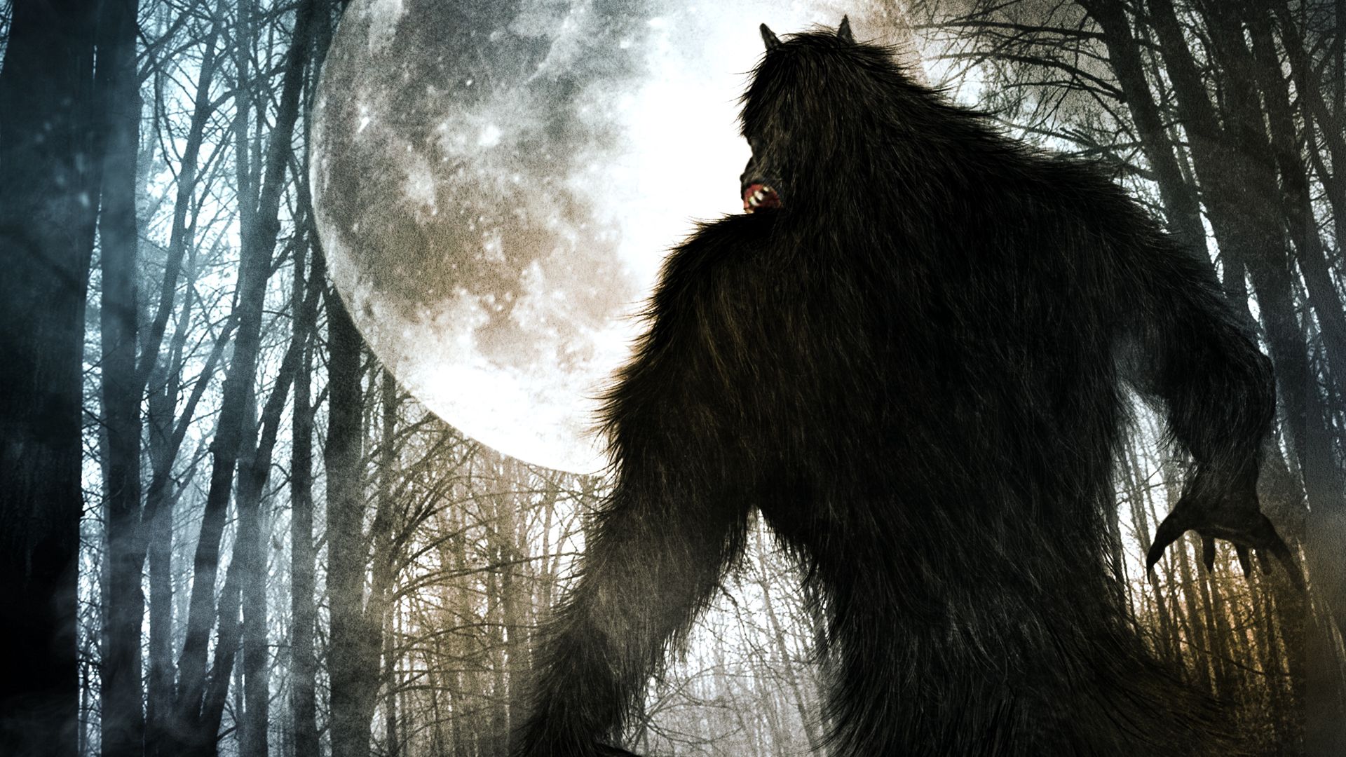 Watch The Night of the Werewolf (1981) Full Movie Free Online - Plex