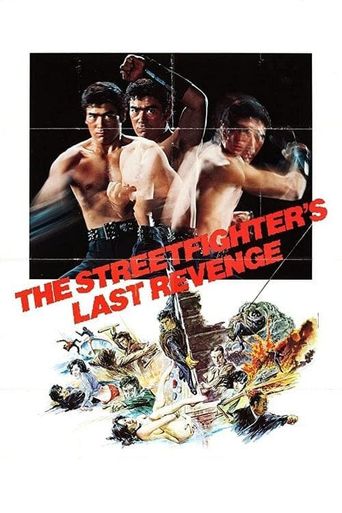  The Street Fighter's Last Revenge Poster