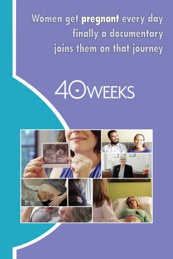  40 Weeks Poster