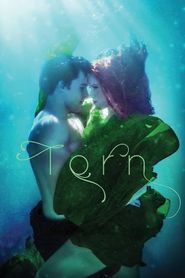  Torn: A Wicked Trilogy Poster