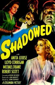  Shadowed Poster