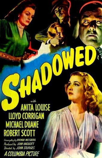  Shadowed Poster