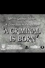  A Criminal Is Born Poster