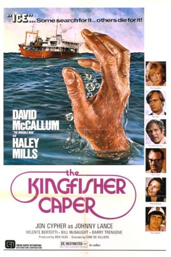 The Kingfisher Caper Poster