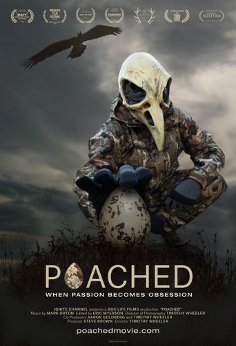  Poached Poster