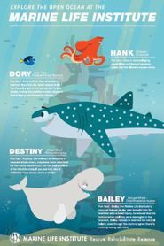  Finding Dory: Marine Life Interviews Poster