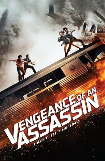  Vengeance of an Assassin Poster