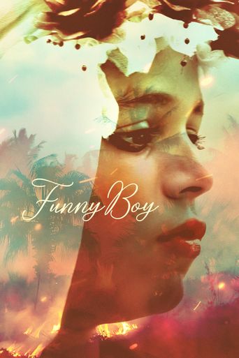  Funny Boy Poster