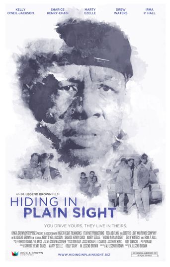 Hiding in Plain Sight Poster