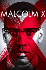  Malcolm X Poster