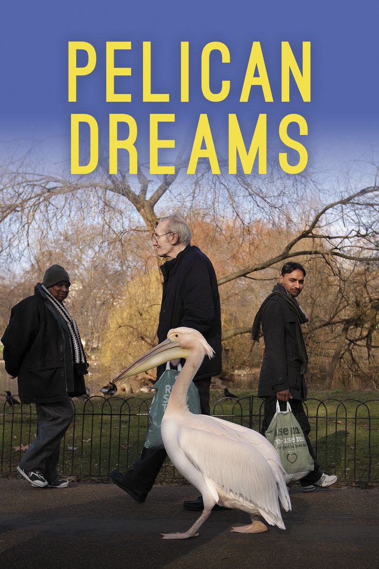 Pelican Dreams Poster