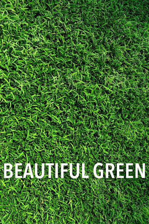 La Belle verte Poster