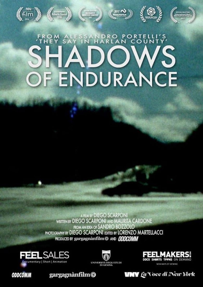 Shadows of Endurance