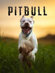  Pitbull Poster