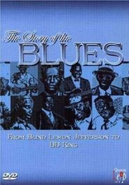  The Story Of The Blues Poster