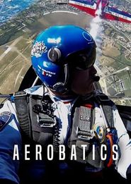 How to Fly the P-47: High Altitude Flight and Aerobatics Poster