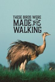 These Birds Were Made for Walking Poster