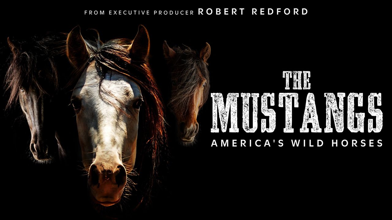 The Mustangs: America's Wild Horses Backdrop