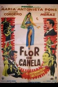  Flor de canela Poster