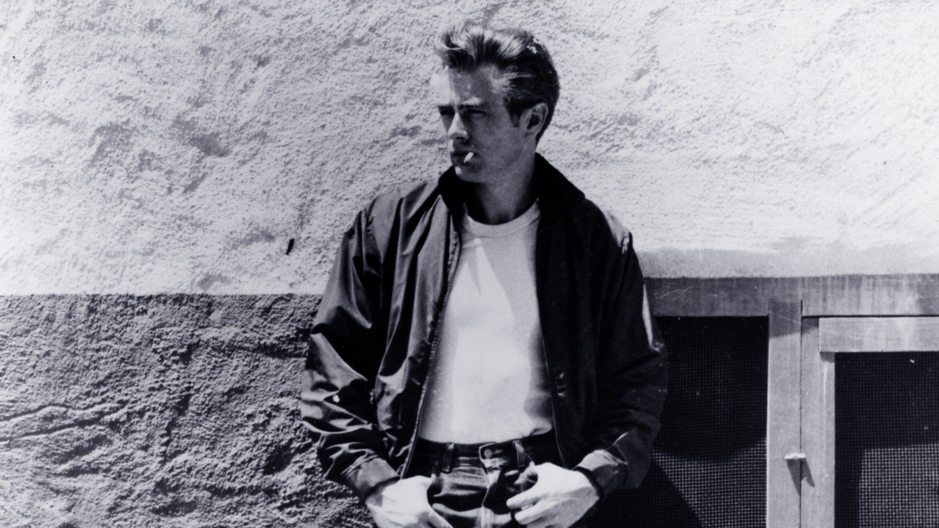 Rebel Without a Cause Backdrop