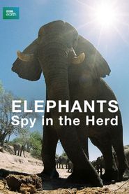  Elephants: Spy in the Herd Poster