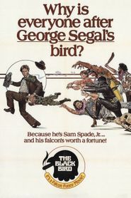  The Black Bird Poster