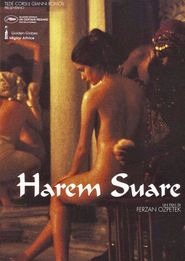  Last Harem Poster