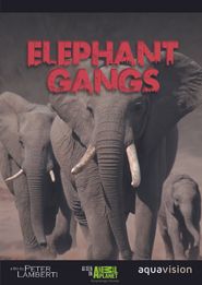  Elephant Gangs Poster