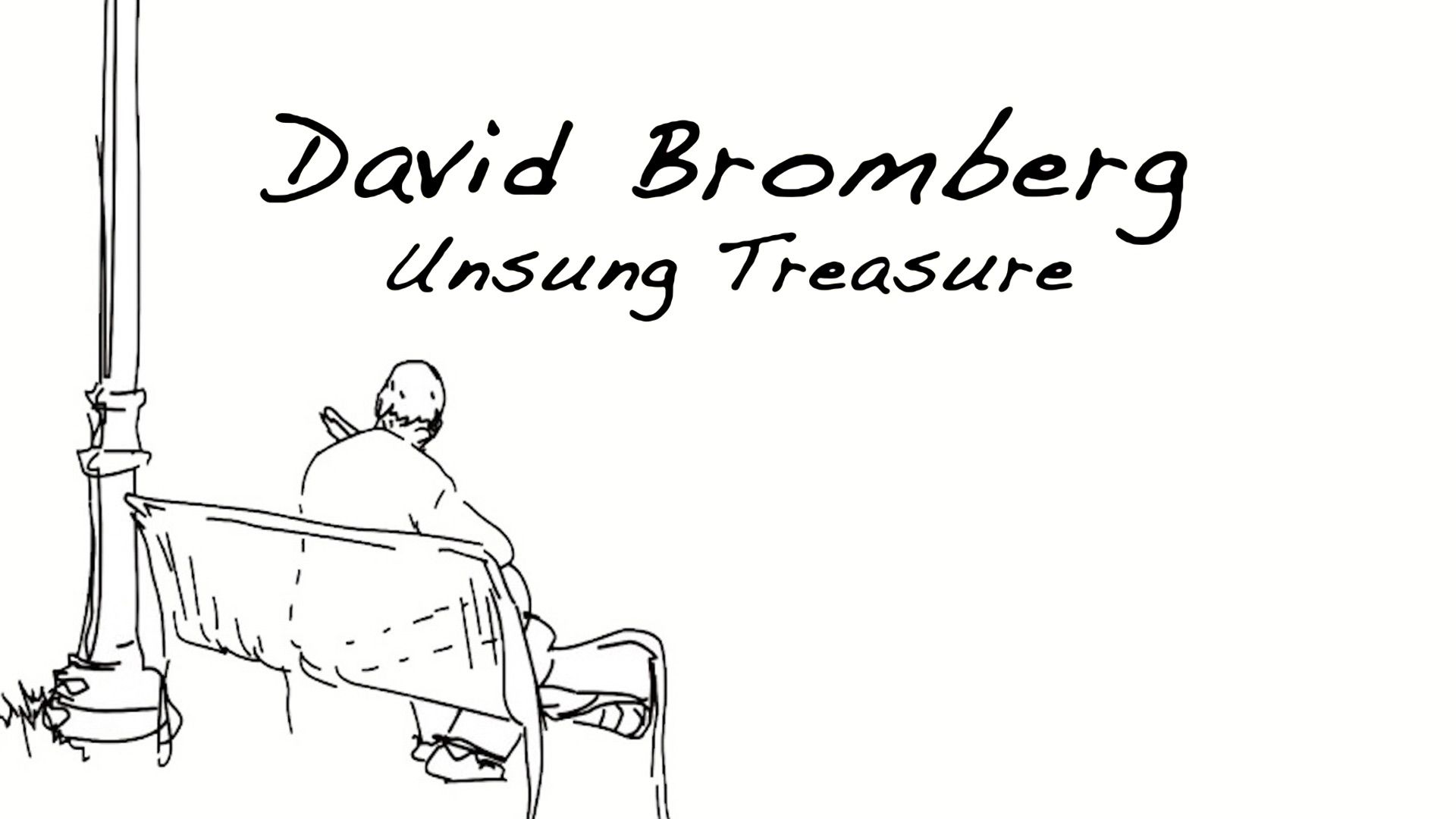 David Bromberg: Unsung Treasure Backdrop