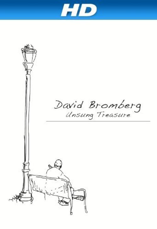 David Bromberg: Unsung Treasure Poster