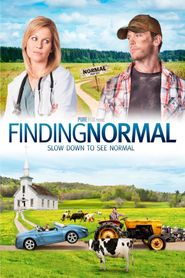  Finding Normal Poster