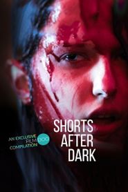  Shorts After Dark Poster